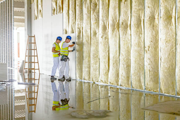 Insulation Repair Services in Reisterstown, MD